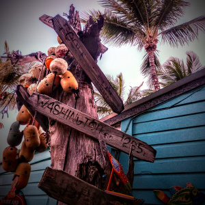 img_20231011_083806_945